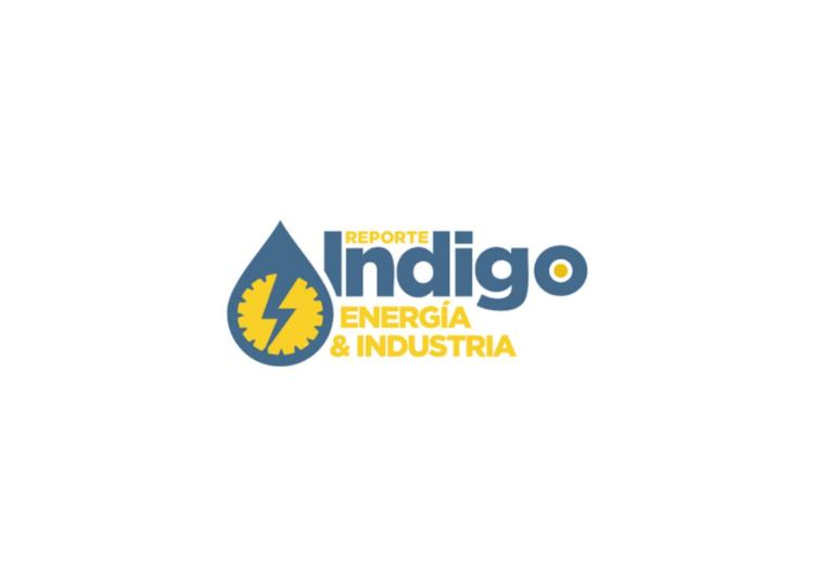 Logo Indigo